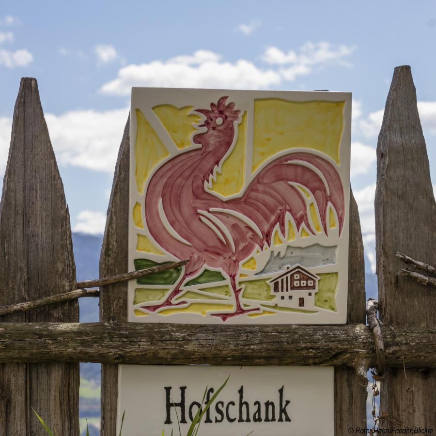 费德索恩斯Obermoserhof别墅 外观 照片